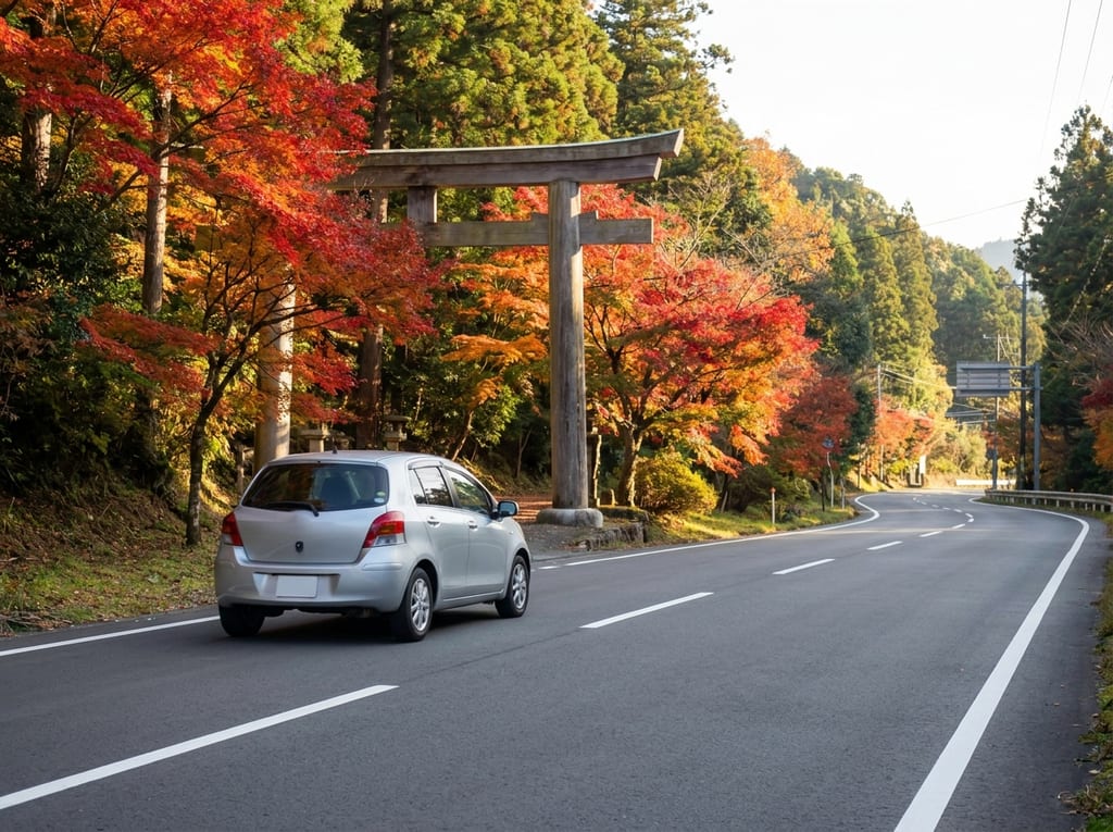 brazil driving license — Brazil Driving License: What Travelers Need to Know
